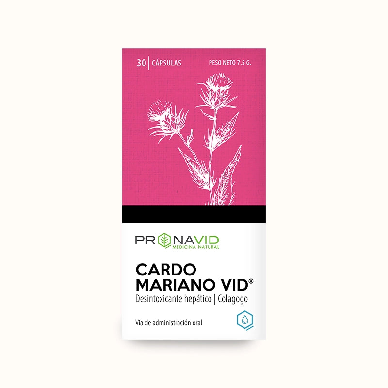 CARDO MARIANO VID